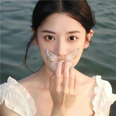 蒲公英的灰尘